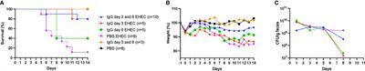 IgG Binds Escherichia coli Serine Protease EspP and Protects Mice From E. coli O157:H7 Infection